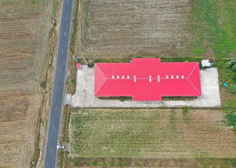 Hala de productie ciuperci de depozitare - Dezna - AR - 1