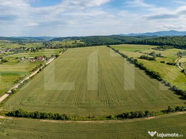 INVESTI?IE! Teren extravilan, 52400 mp, front 130 ml, zona - 1