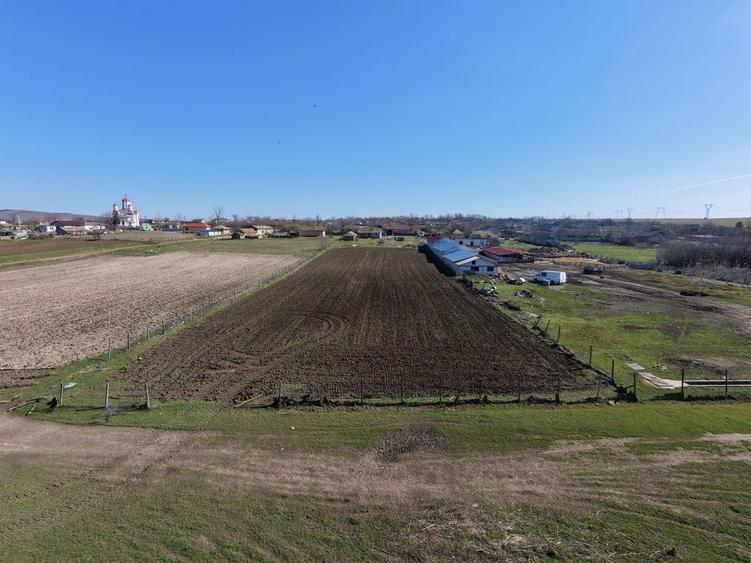Teren intravilan 6500mp imprejmuit - 3
