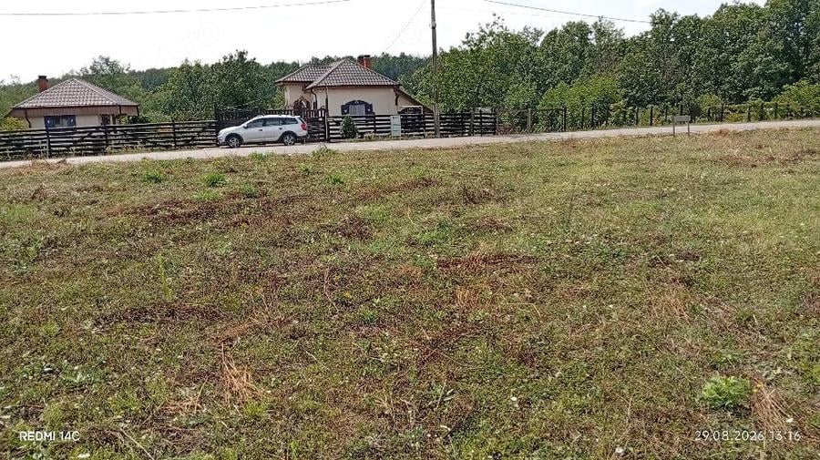 Teren de 12000 mp, în Moșoaia