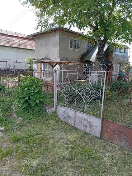 Casă cu Teren 5741 Mp în Lunca Mureșului