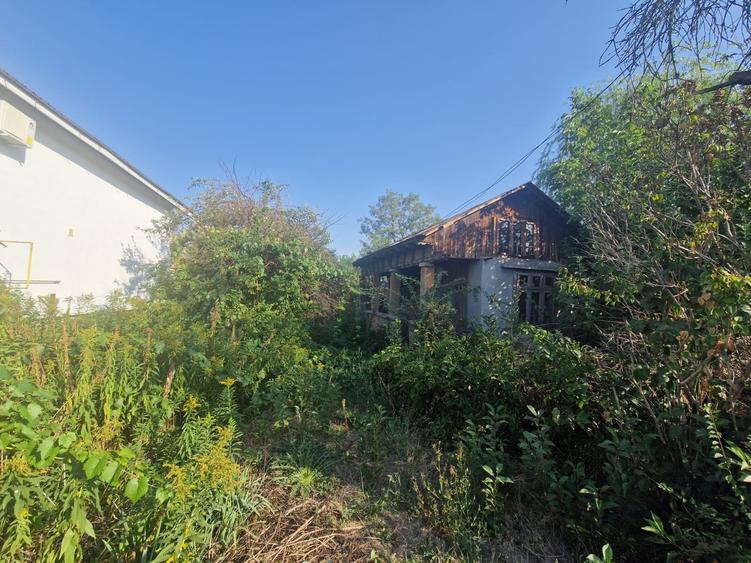 Cornetu stradal, vanzare teren intravilan 1.600mp - 10