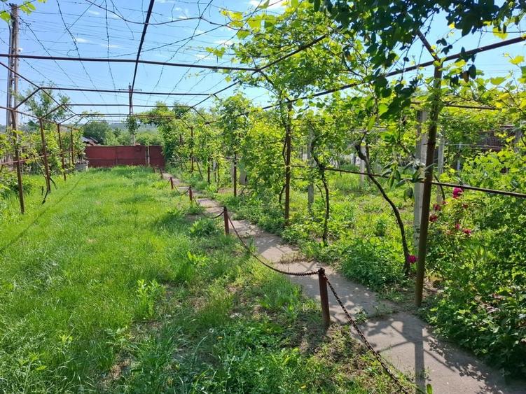 Casa + teren 1.000 mp, 20 m deschidere la strada principala, Vladuleni, Gorj - 1