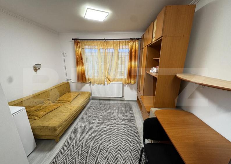 Camera de camin, 17mp, zona Bularga - 2