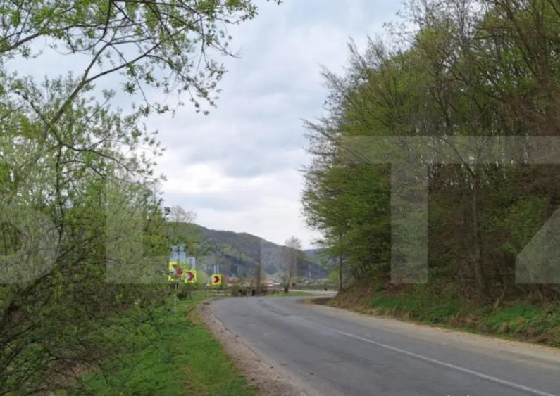 Oportunitate!!!! TEREN EXTRAVILAN CU SUPRAFATA DE 12500 MP - 7