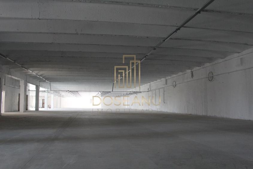 SPATIU INDUSTRIAL - HALA | LES | BIHOR - 3