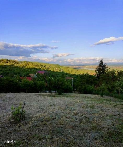 Teren Intravilan Podgoria - 2