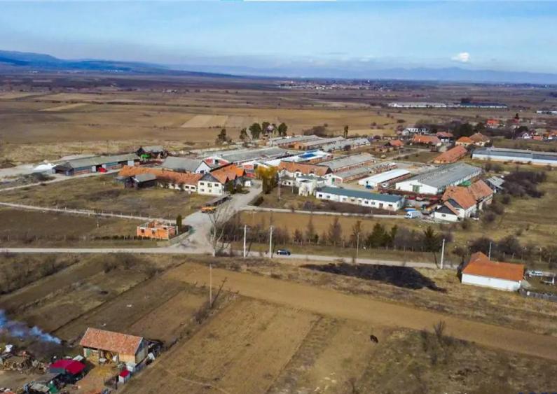 FILM! Complex agrozootehnic cu traditie, echipat,pretios pot - 4