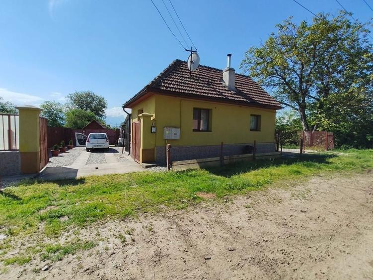 Casa cu gradina roditoare si teren 3000 m2 de vanzare Sacadate, Sibiu / House with Garden and 3000 m2 Land for Sale Sacadate, Sibiu - 1