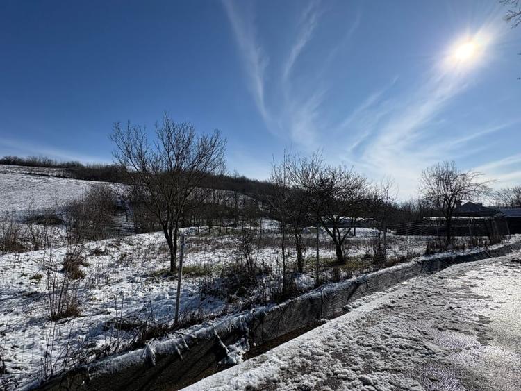 Teren intravilan 1.000 mp imprejmuit – Luncsoru, comuna Ghercesti - 3