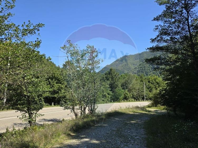 Teren 4,000mp Pascoaia / Soseaua Punctul Chiliilor - 9