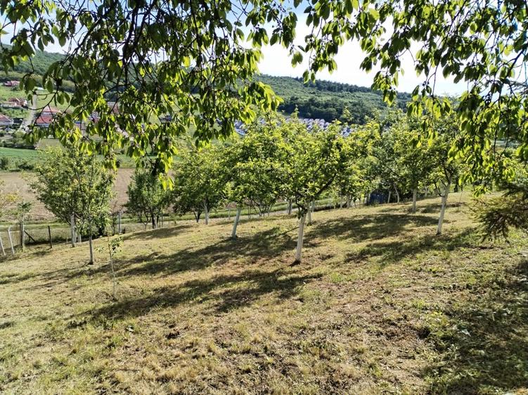 Teren de vanzare zona budiului - 5