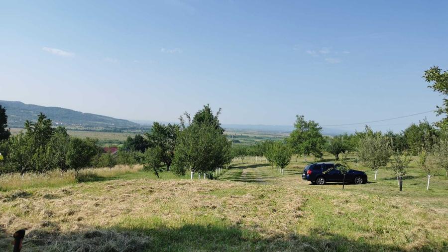 Teren Orasu Nou Vii ,Intravilan 38 Ari , Casa + Livada pomi fructiferi - 5