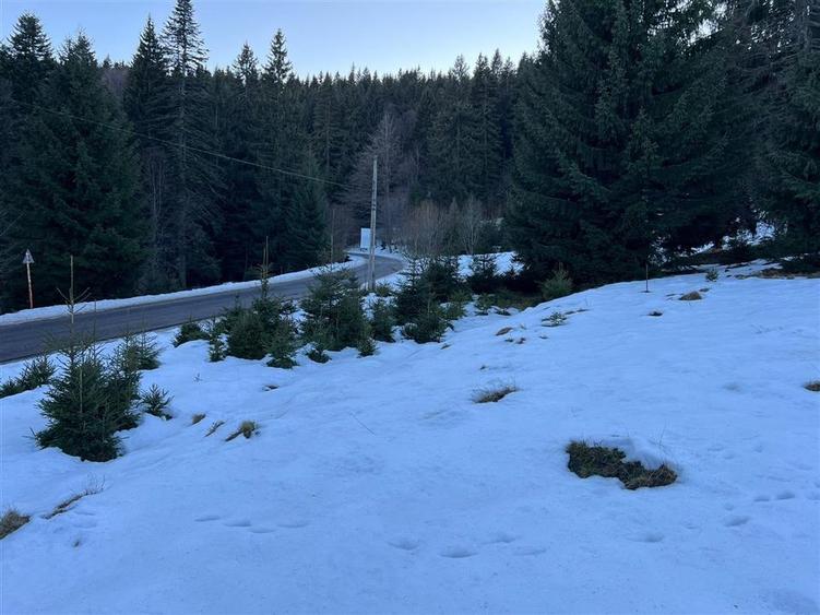 TEREN PREDEAL BRASOV - 5