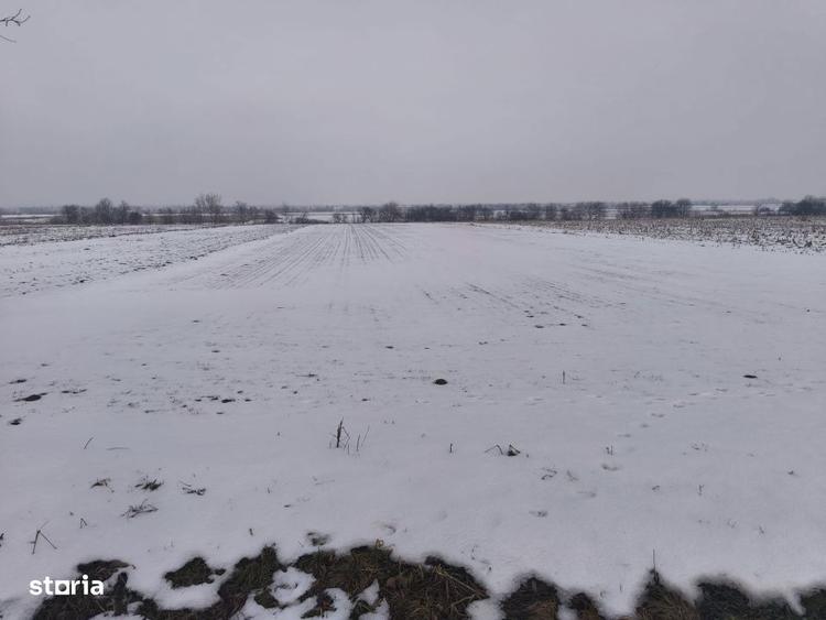 Teren 6000mp, 30 ml deschidere la DN 2H, Horodnic de Jos, Radauti - 4