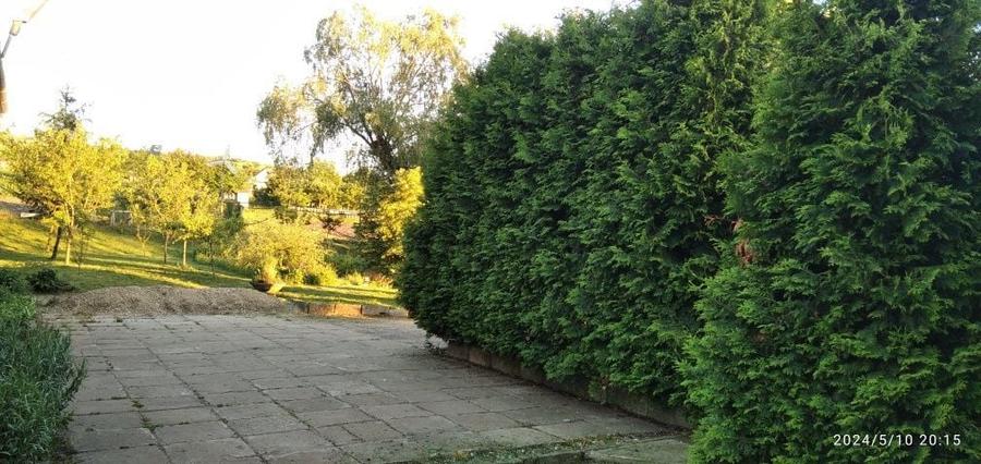 Vand casa cu 4,80 ha in Viisoara - 7