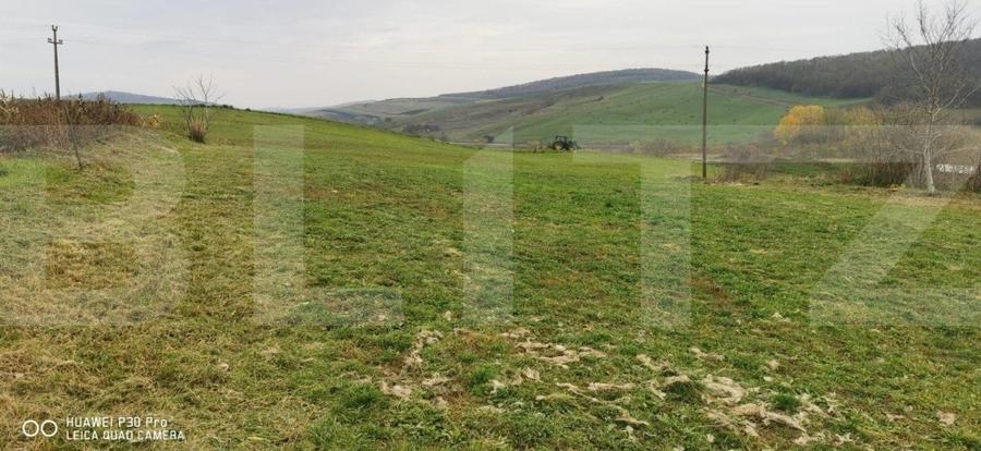 Investitie ! Casa individuala 1 camera, 51 mp, 3000 mp teren, Geaca ! - 4