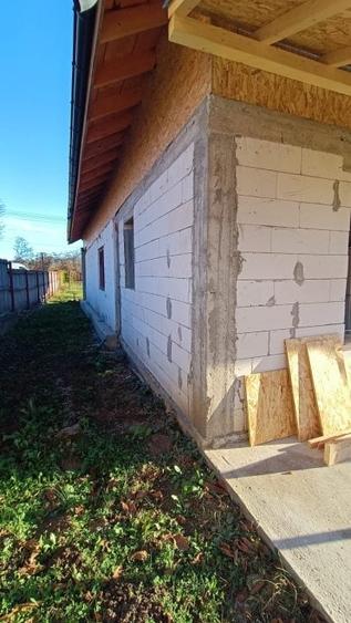 Casa individuala cu teren - Jud. Buzau - Comuna Basceni| Ideal locuit & vacanta - 4