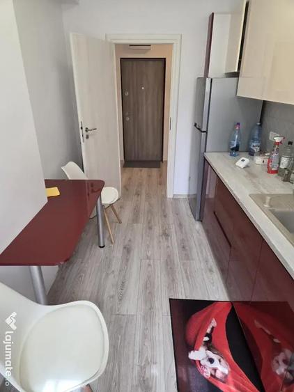 Apartament 2 camere cu tersa 20 mp Sos. Chitilei 23 Pod constanta - 11