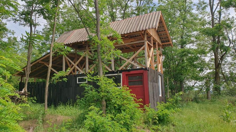Casa cu teren Ciomagesti Arges - 6