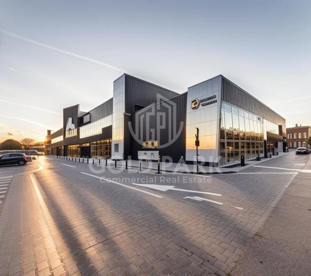 Spatiu Comercial in Centru Comercial - Zona Traian Vuia - Parcare - 1