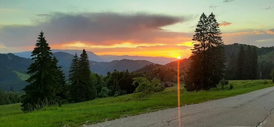 Casa de vacanta sau pensiune situata langa Cabana Trei Brazi Predeal - 44
