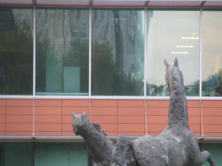 Inchiriere Birouri - Bucharest Business Park de la 233 mp - 13