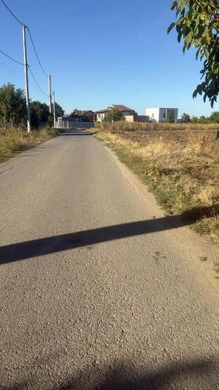 Teren Intravilan 1750mp, deschidere 15,88m - Caciulati, Ilfov - 4