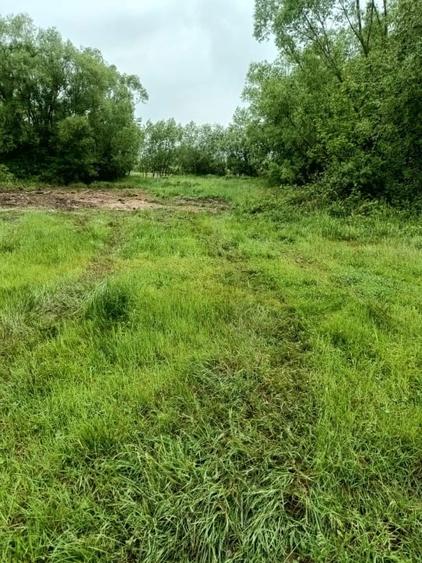 Teren de vanzare intravilan Com Fardea Jud Timis - Langa lacul Surduc - 5