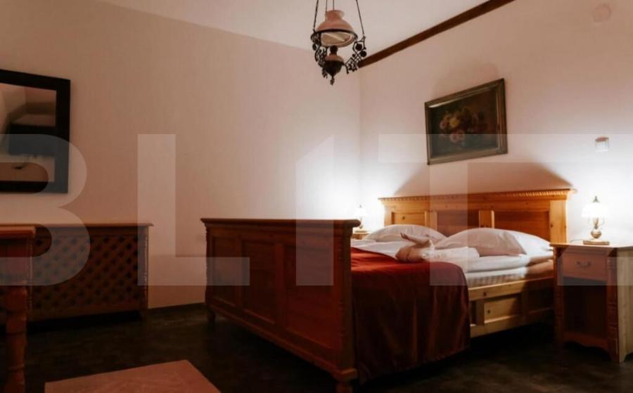Conac de vanzare 7 camere cu bai proprii, crama, ciubar ? - 15