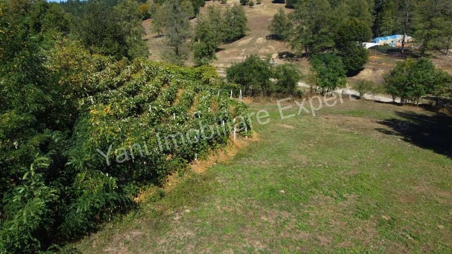 Teren de vanzare in comuna Baicule?ti, sat Tutana, jude? Arge?. - 7