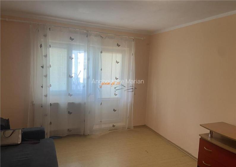Apartament 2 camere , zona b-dul Independentei , 56 mp , hol