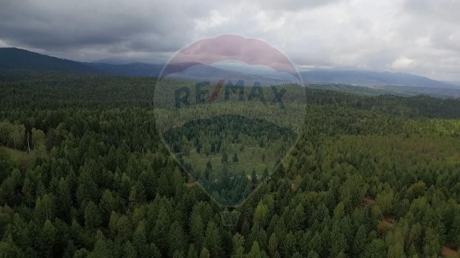 Teren extravilan parcelabil Călățele Pădure, zona Dealu Negru - 13