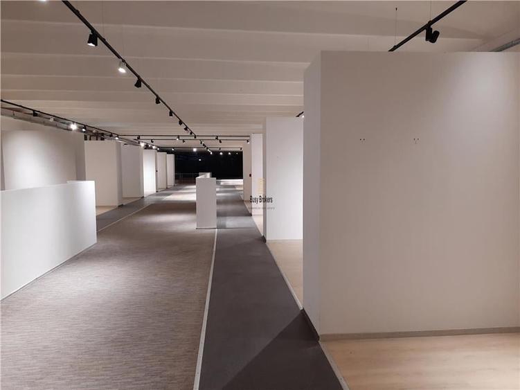 Spatii Comerciale - 500 mp - Showroom - Comert - 19