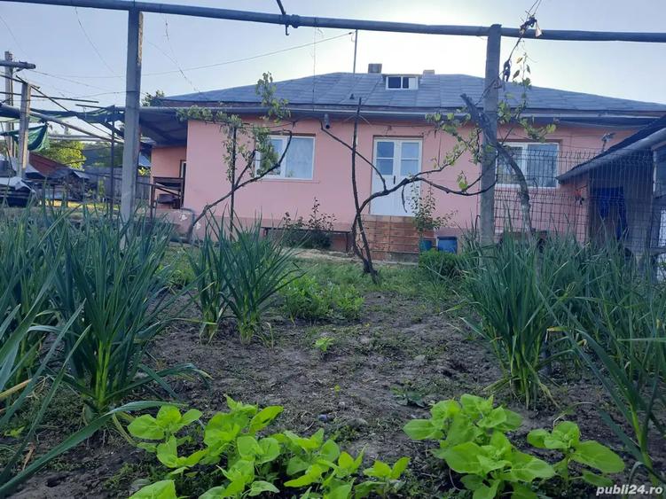 Proprietar vand casa Hemeius - 1