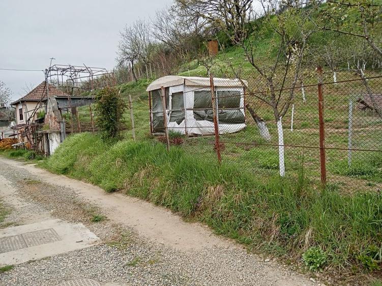 Teren intravilan 500 mp Oradea cu toate utilitatile 32500 euro - 5