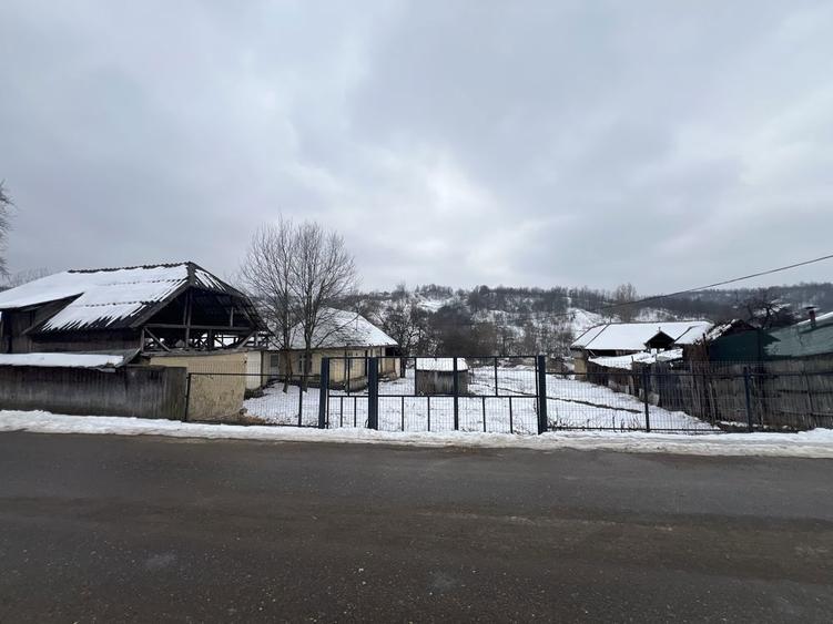 Casa batraneasca - curte si gradina 1924 mp + 2100 livada - 1