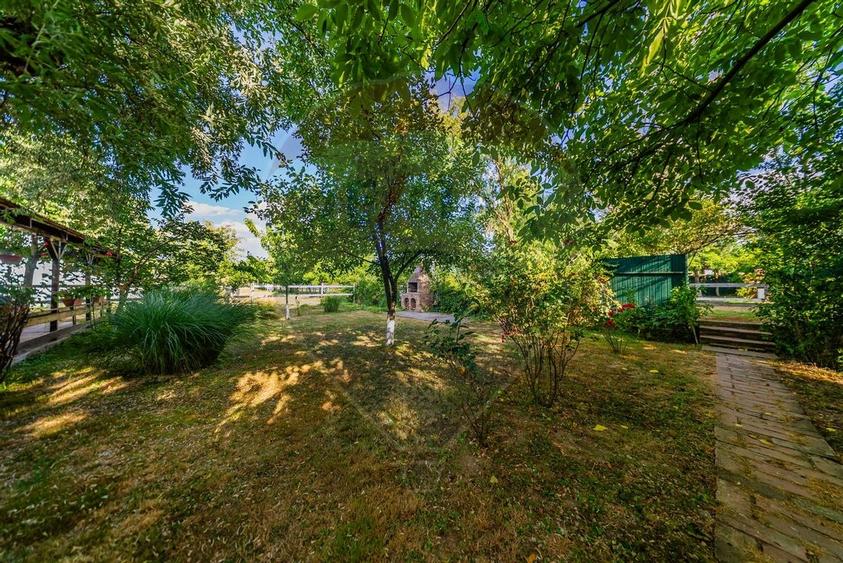 Ferma de cai andaluzi de vanzare - Zadareni - 11