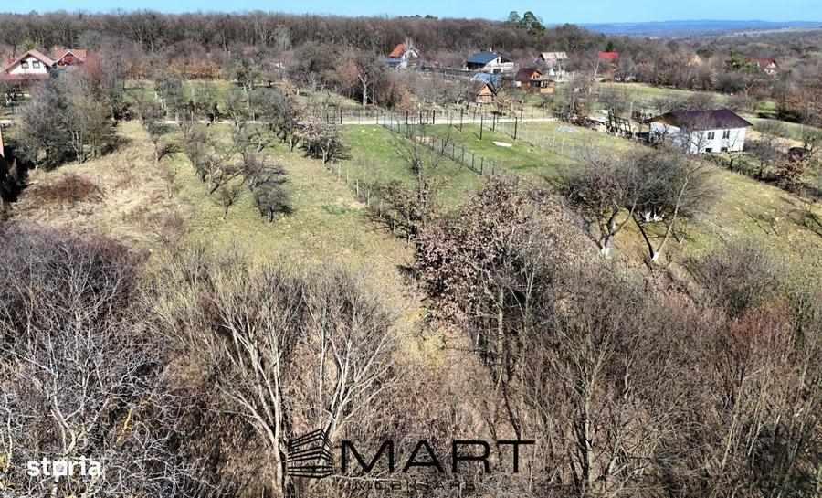 Teren intravilan 1000mp Padurea Dumbrava - 1
