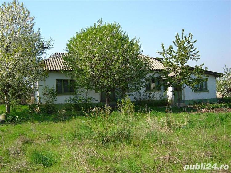 Casa cu teren 2618mp Mahmudia langa Dunare - 2