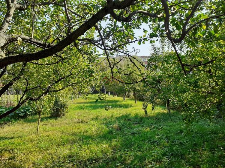 Casa 3 camere, teren 3625 mp, toate utilitatile, Sacele, Brasov - 7