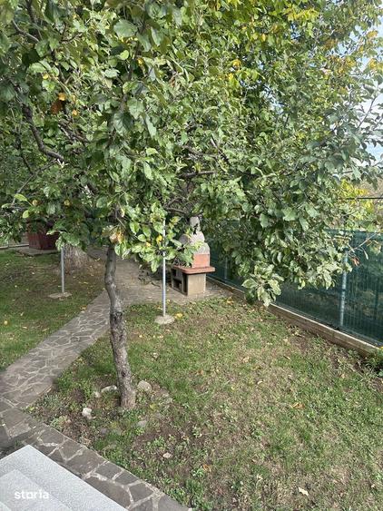 Campina - casa P+E+M - teren 900mp - 259000 Euro - 2