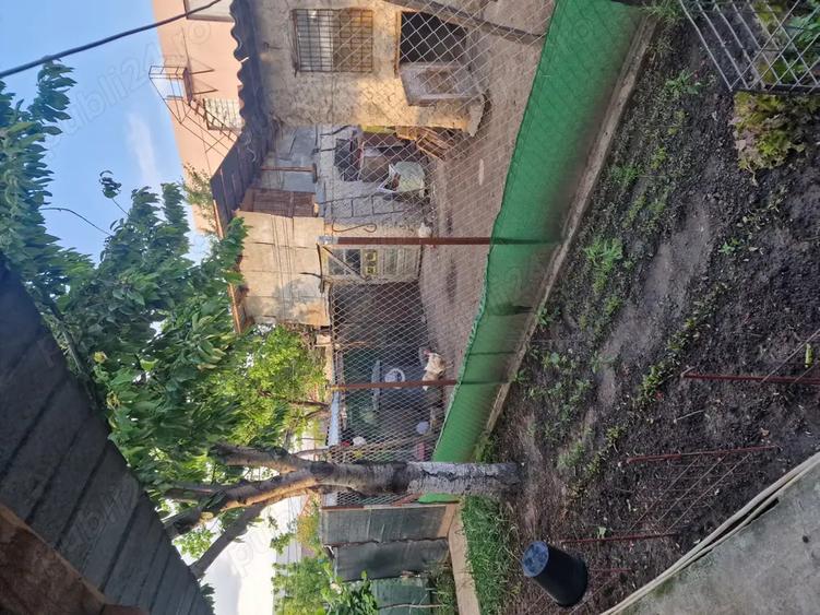 Casa de Vanzare Slobozia Noua - 4