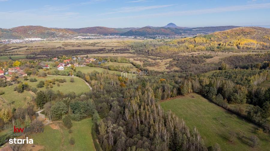 Teren intravilan in Zarnesti, zona Tohanita, cu padurice si parau curg - 1
