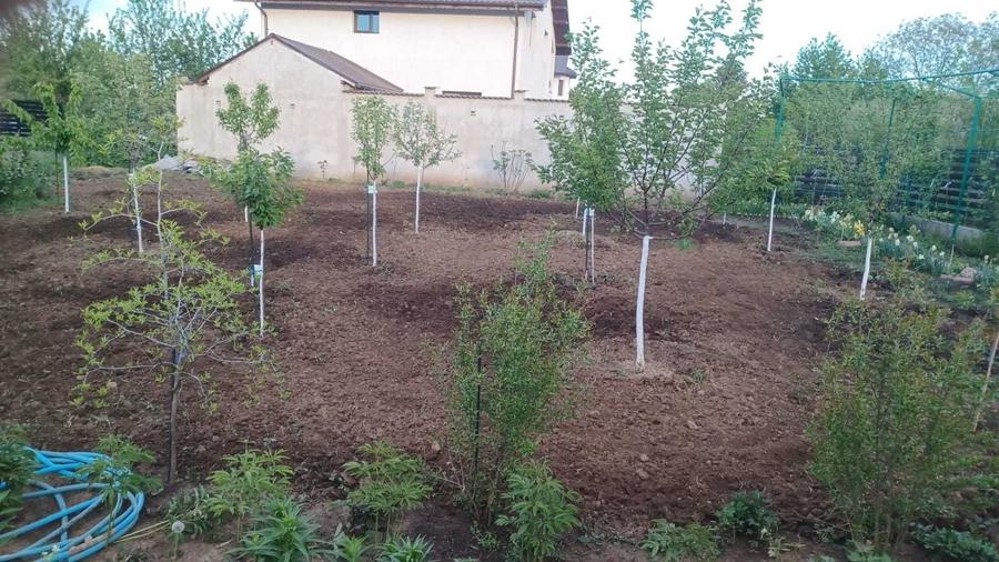 Casă cu 4 camere în Bâcu