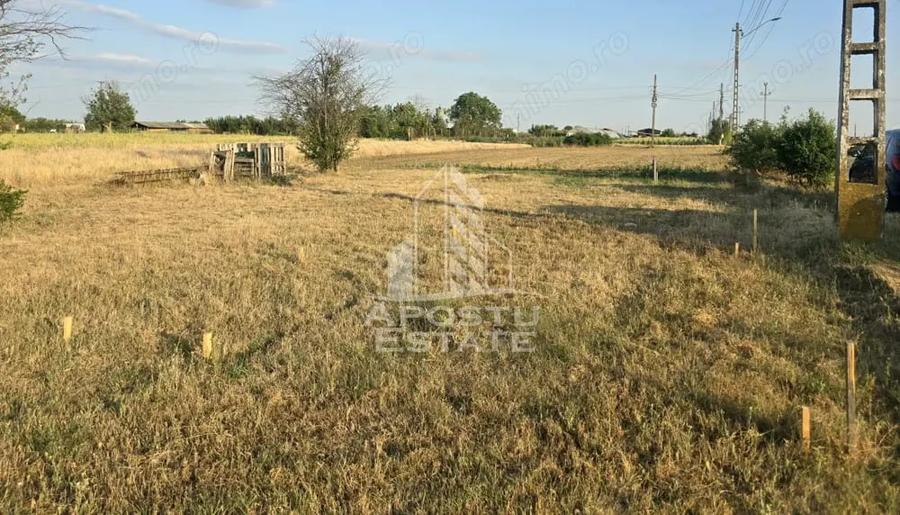 Teren de 800 mp, în Curtici