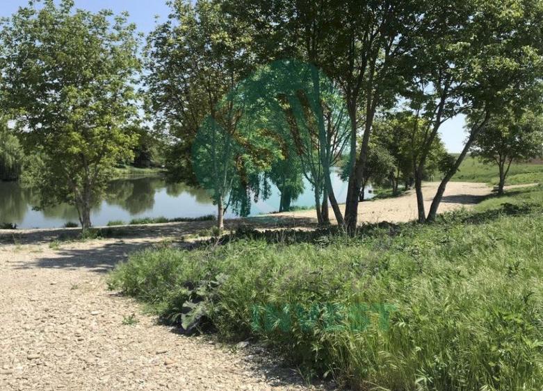 Teren Construcții intravilan de 655 mp, în Moara Domnească