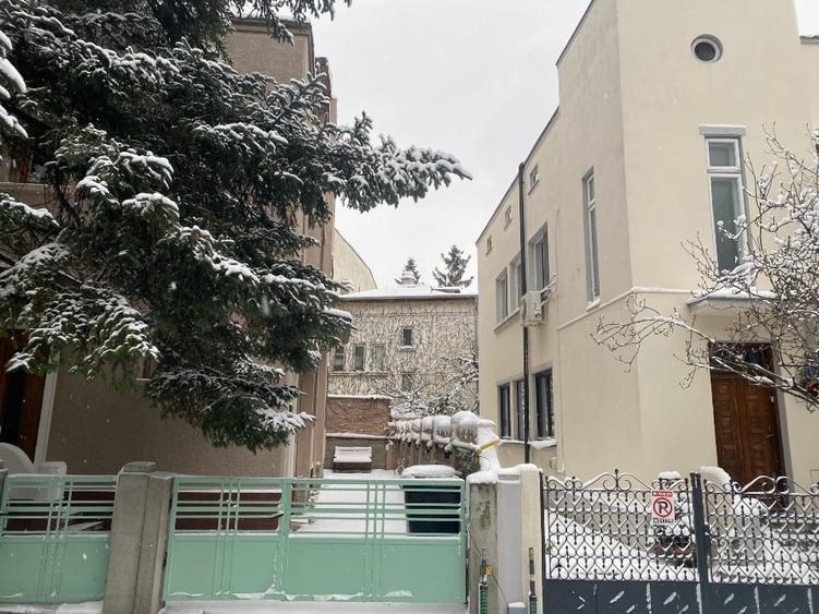 Parter vila Cotroceni pentru birouri / spatiu comercial cu curte - 3