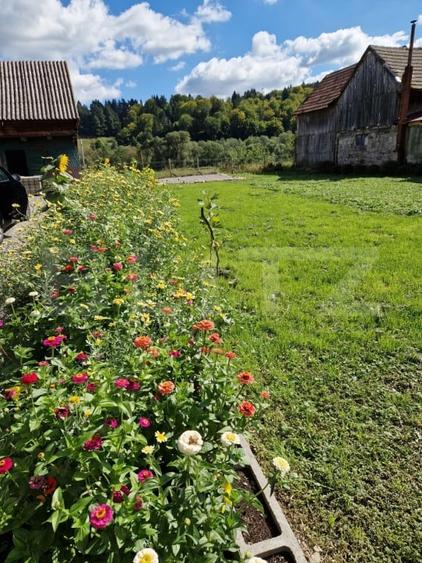 CASA IN VAMA BUZAULUI, 800 MP, PRET 159900 EURO - 8