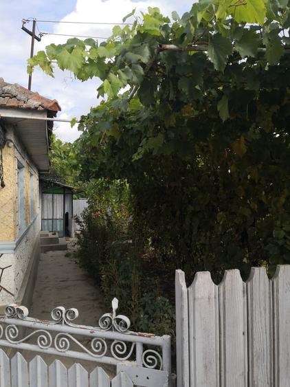 Cioranii de Jos, judetul Prahova - 4